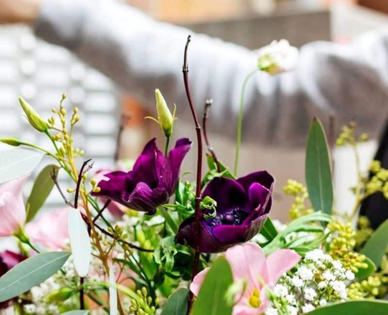 Spider Agency Portfolio acacia fleurs et cannelle photo de catégorie livraison