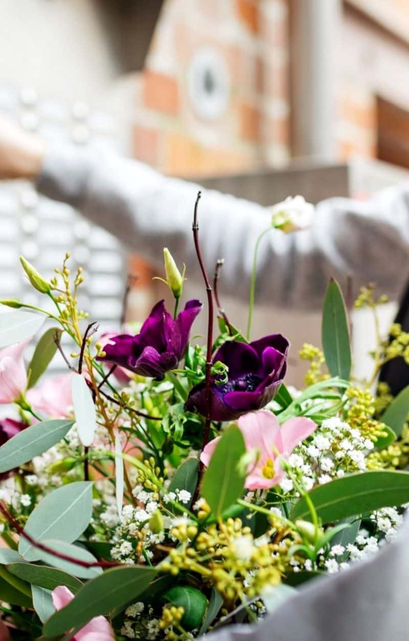 Spider Agency Portfolio acacia fleurs et cannelle photo de catégorie livraison