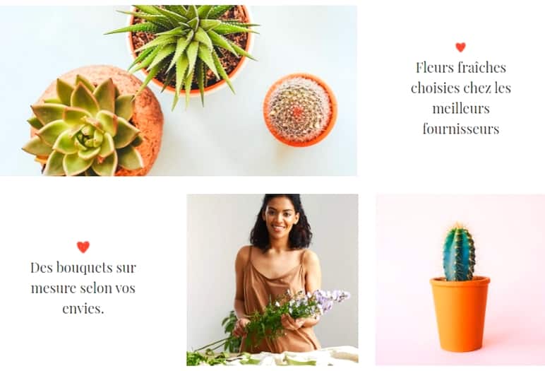 agence web pessac acacia fleurs et cannelle image avant gout